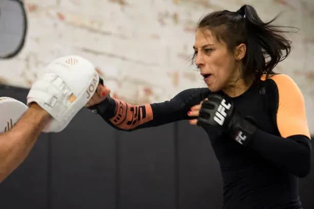 MMA article image