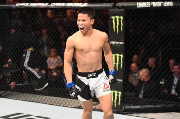 MMA article image