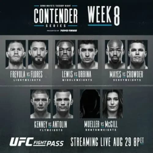 MMA article image