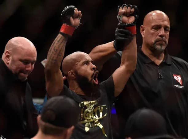 Demetrious Johnson versus Anderson Silva