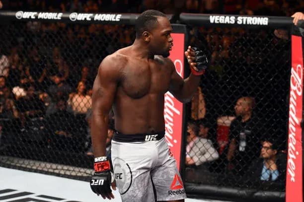 MMA article image