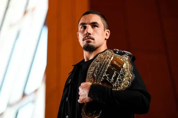 MMA article image