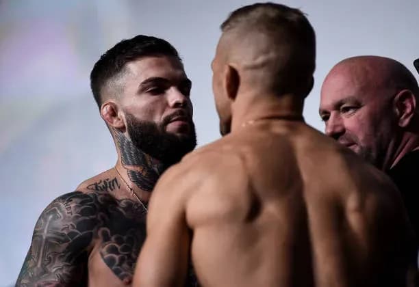 MMA article image