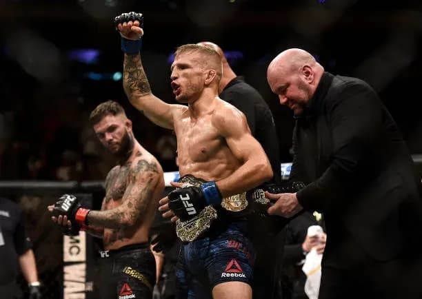 MMA article image