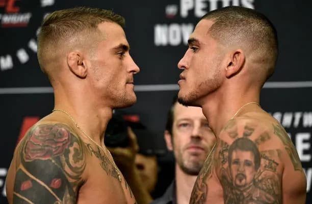 MMA article image