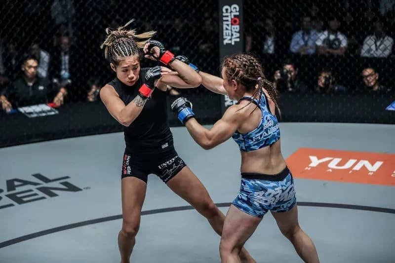 MMA article image