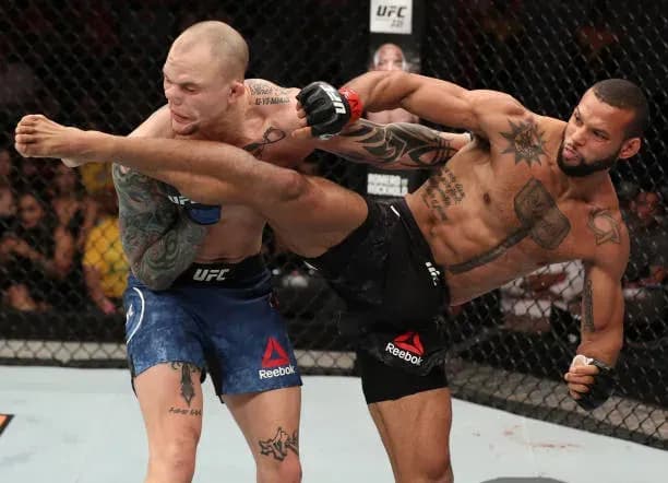 UFC Fight Night 125 Standout Performances