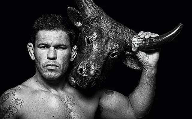 MMA article image
