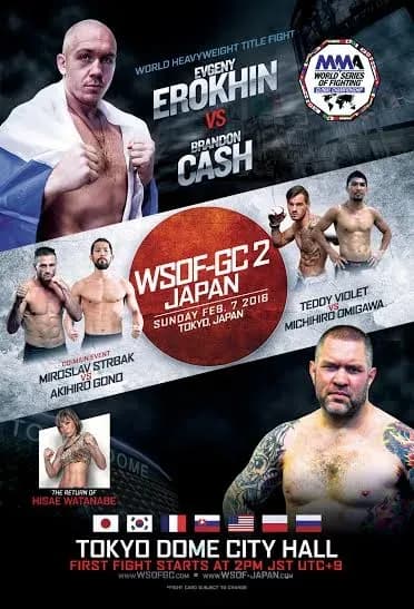MMA article image