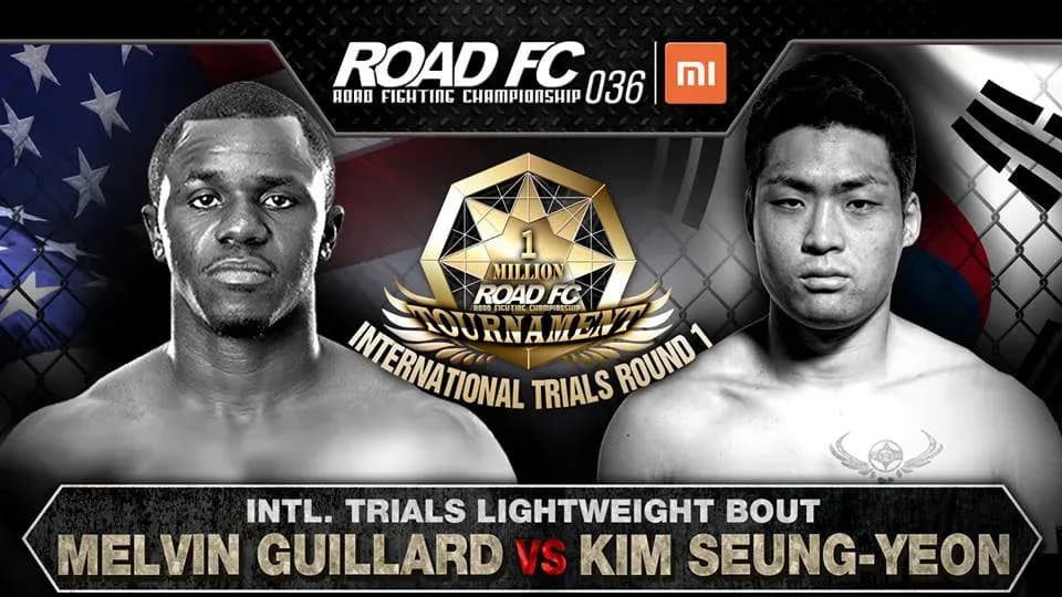 MMA article image