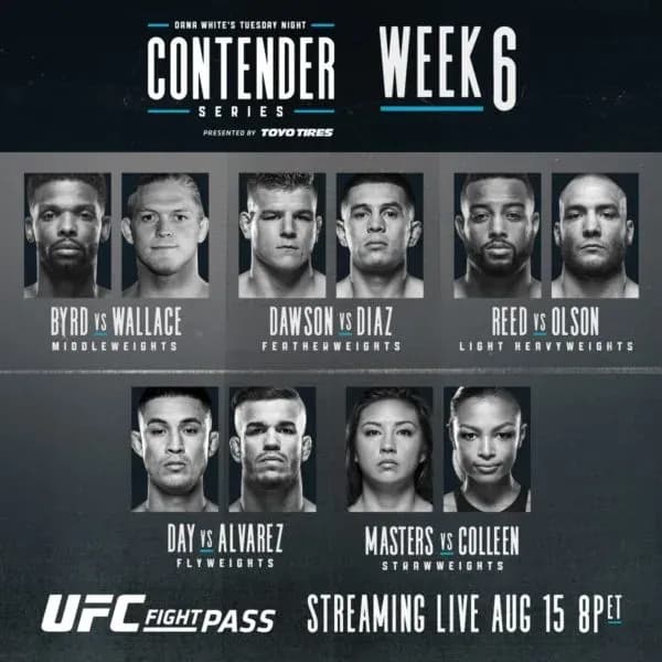 MMA article image