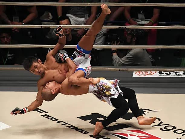 MMA article image