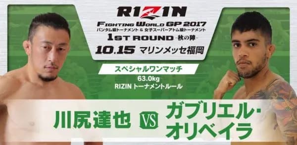 MMA article image