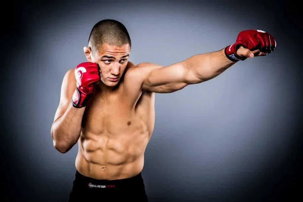 MMA article image