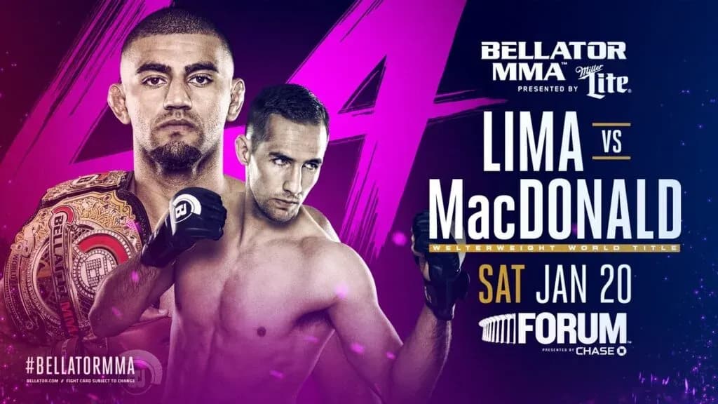 MMA article image