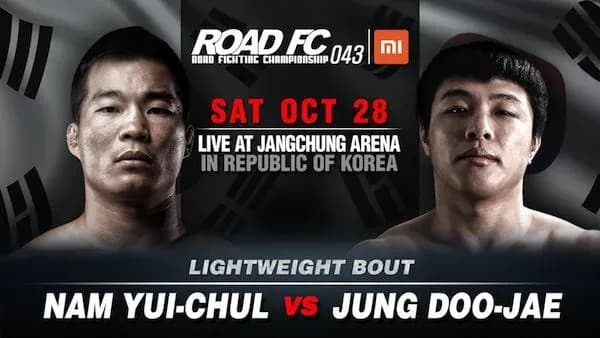 MMA article image