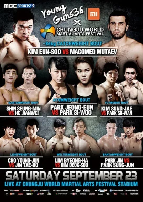 MMA article image