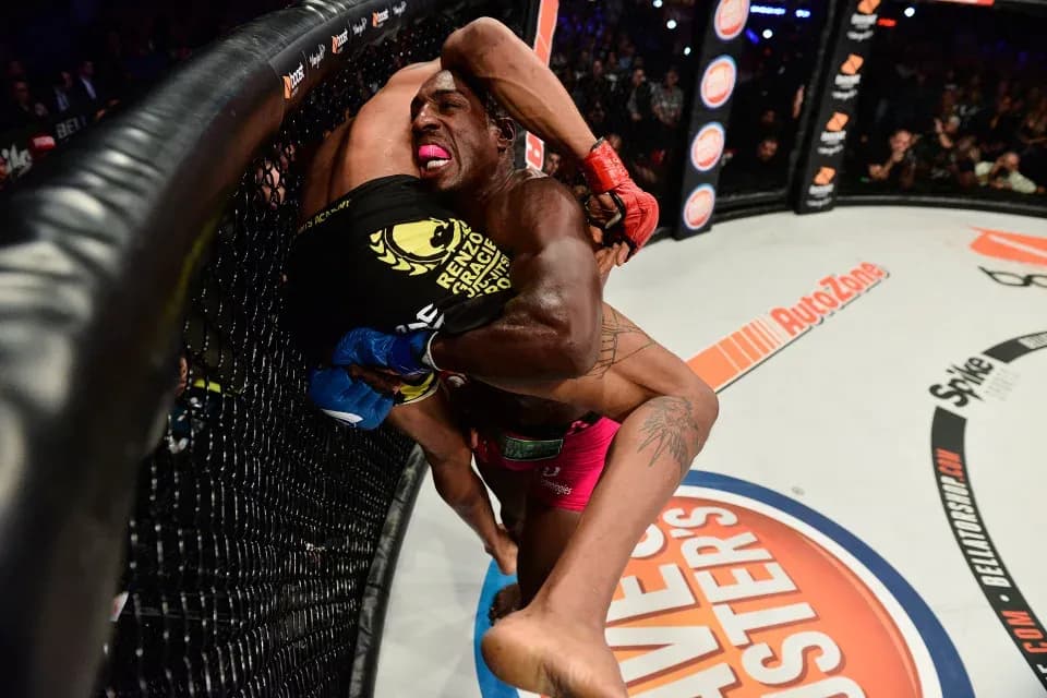 MMA article image