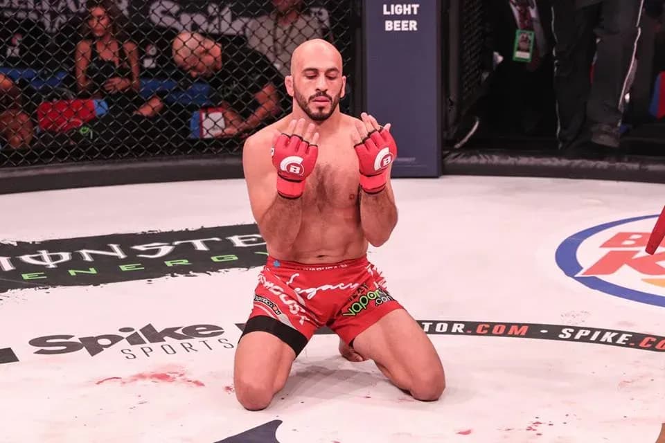 MMA article image