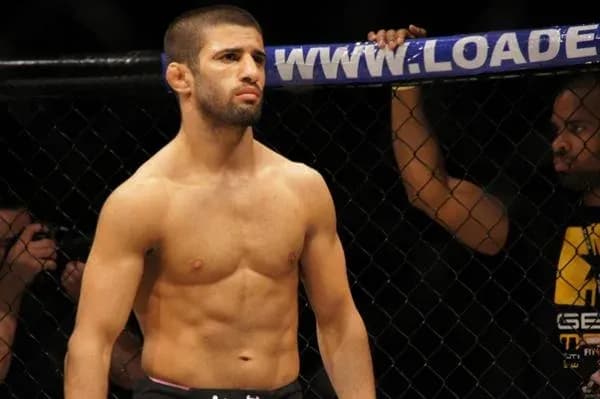 MMA article image