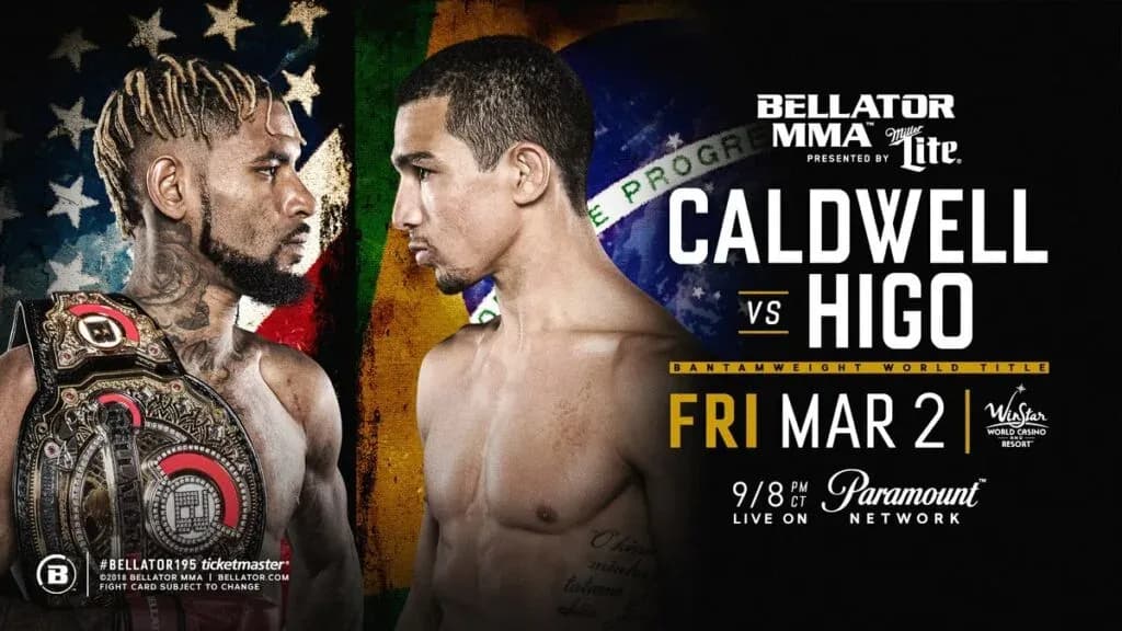 MMA article image