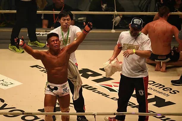 MMA article image