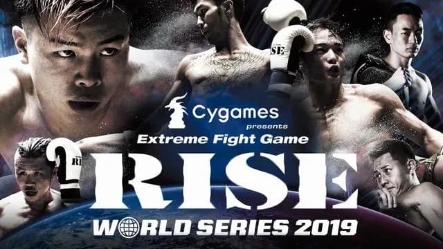 MMA article image