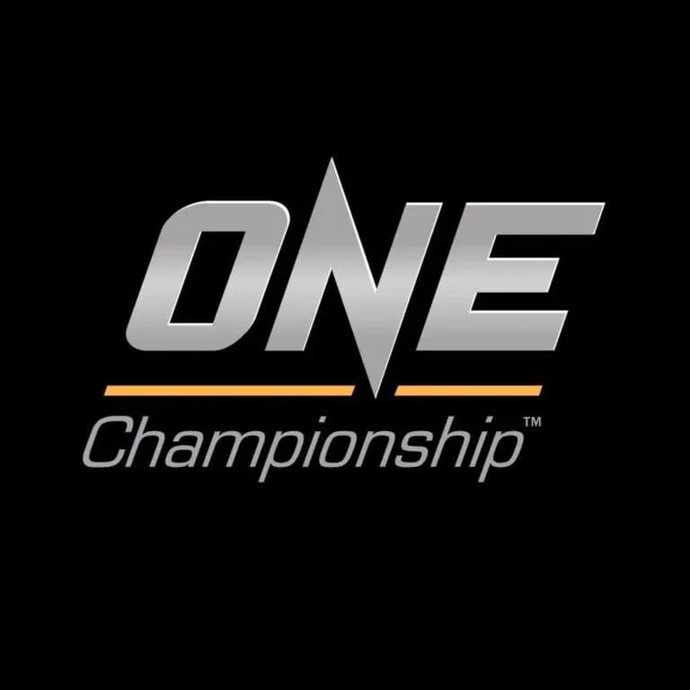 MMA article image