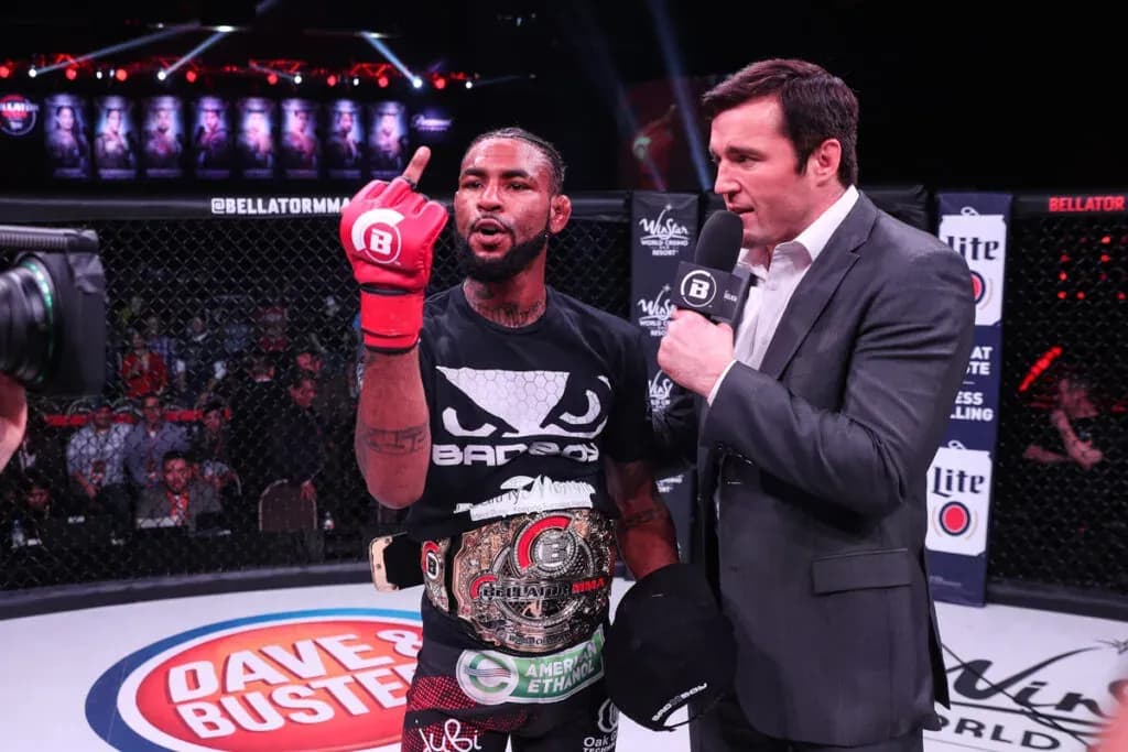 MMA article image