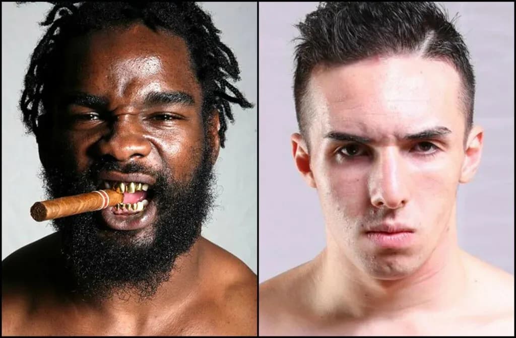 MMA article image