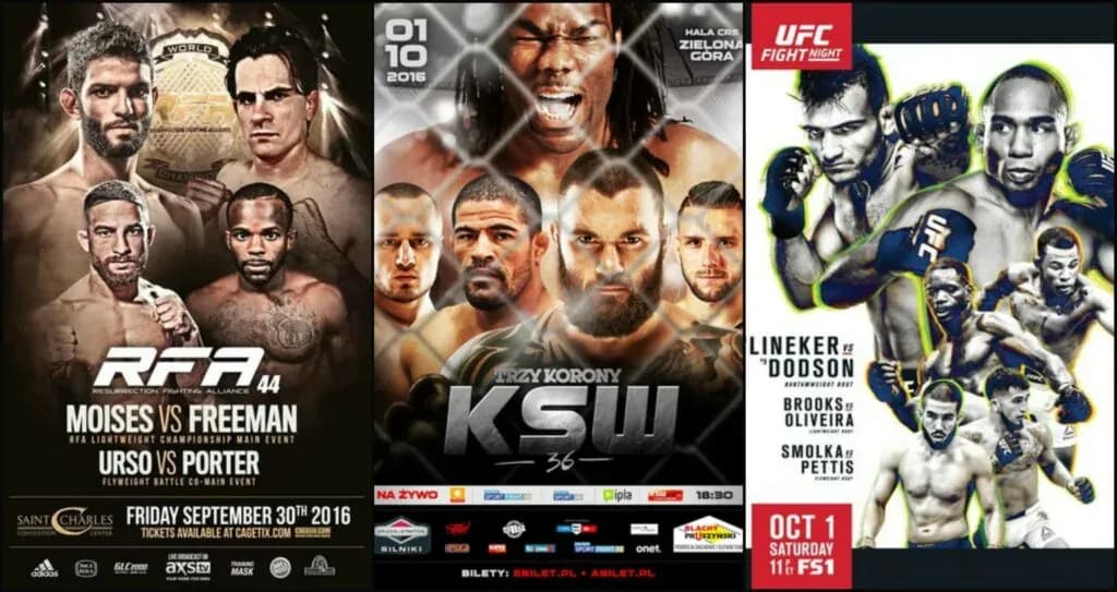 MMA article image