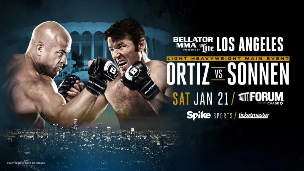 MMA article image