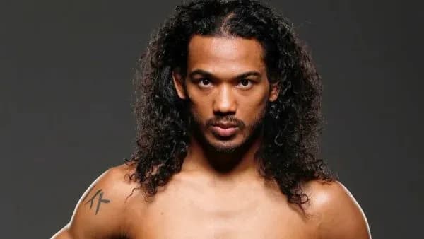 MMA article image