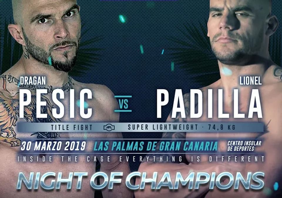 MMA article image