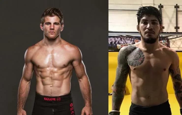 MMA article image