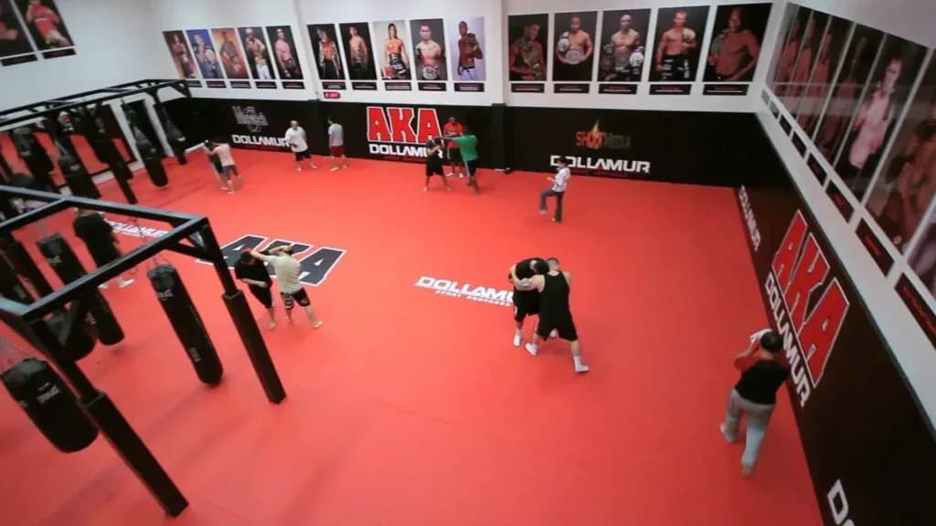 MMA article image