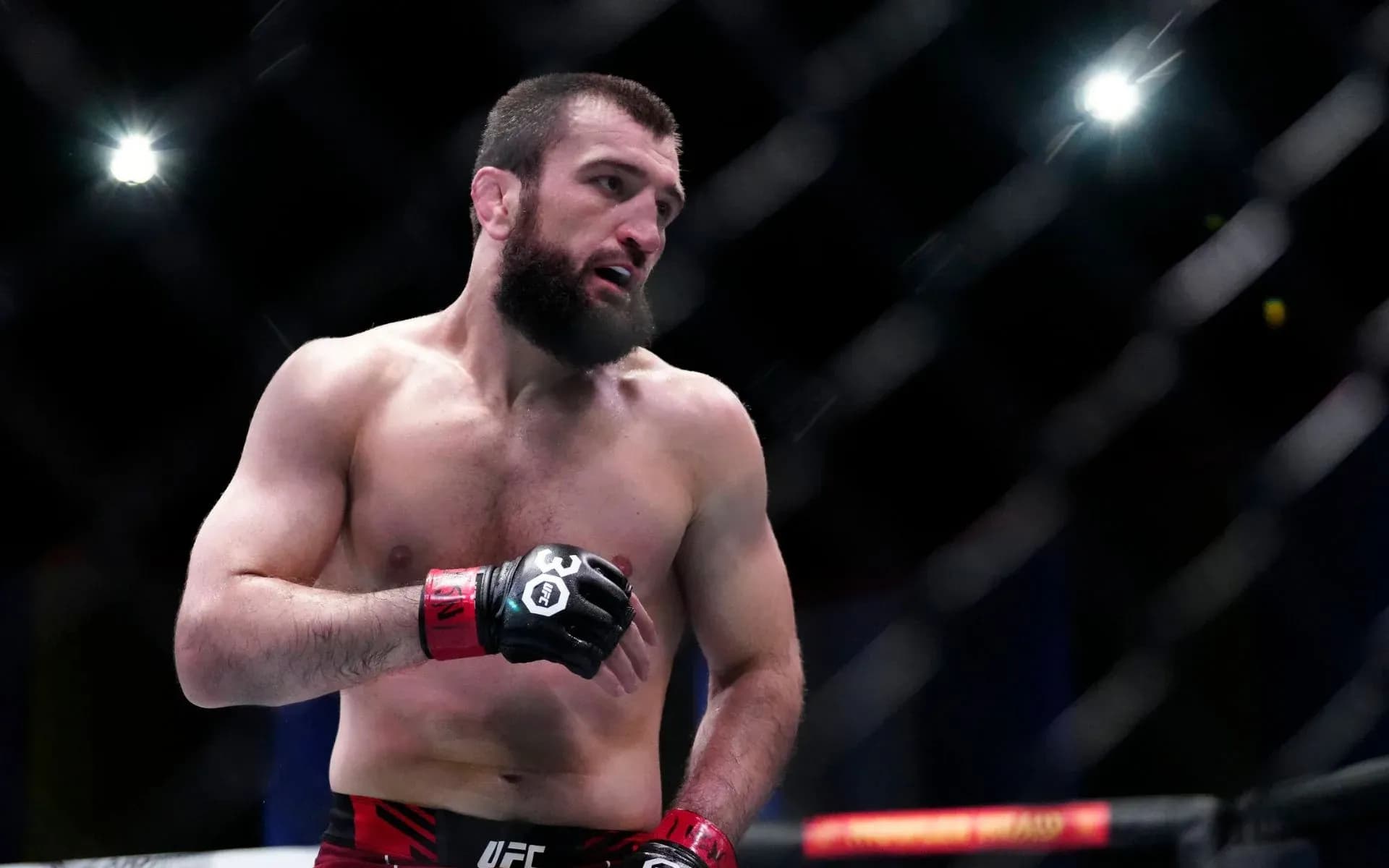 Abubakar Nurmagomedov via imago