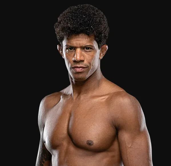 MMA article image