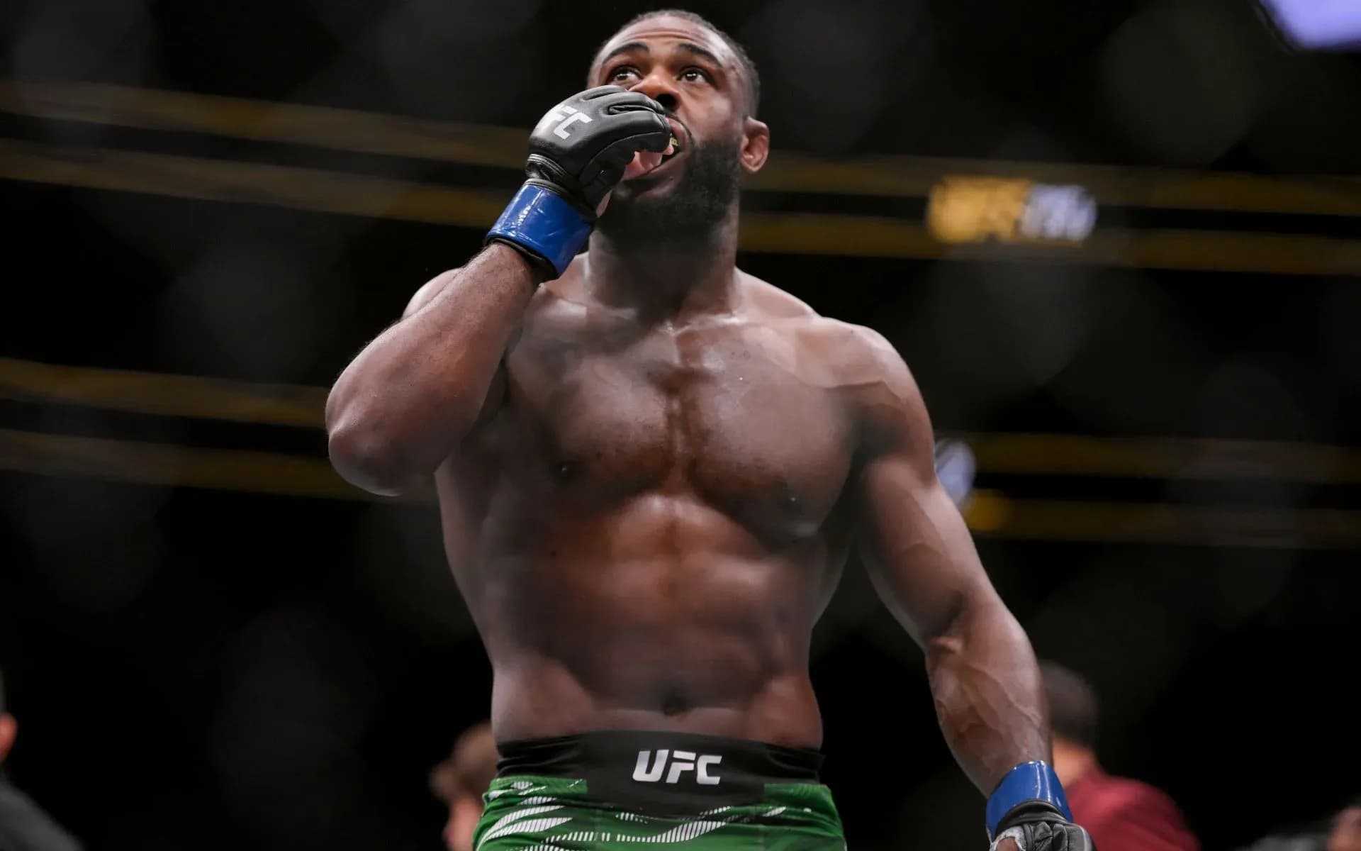 Aljamain Sterling via imago