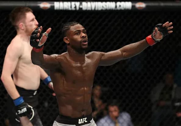 MMA article image