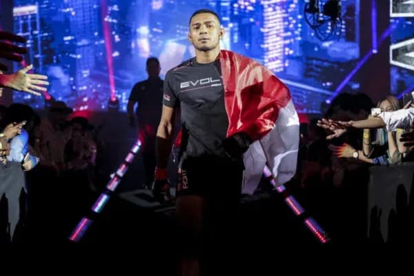 MMA article image