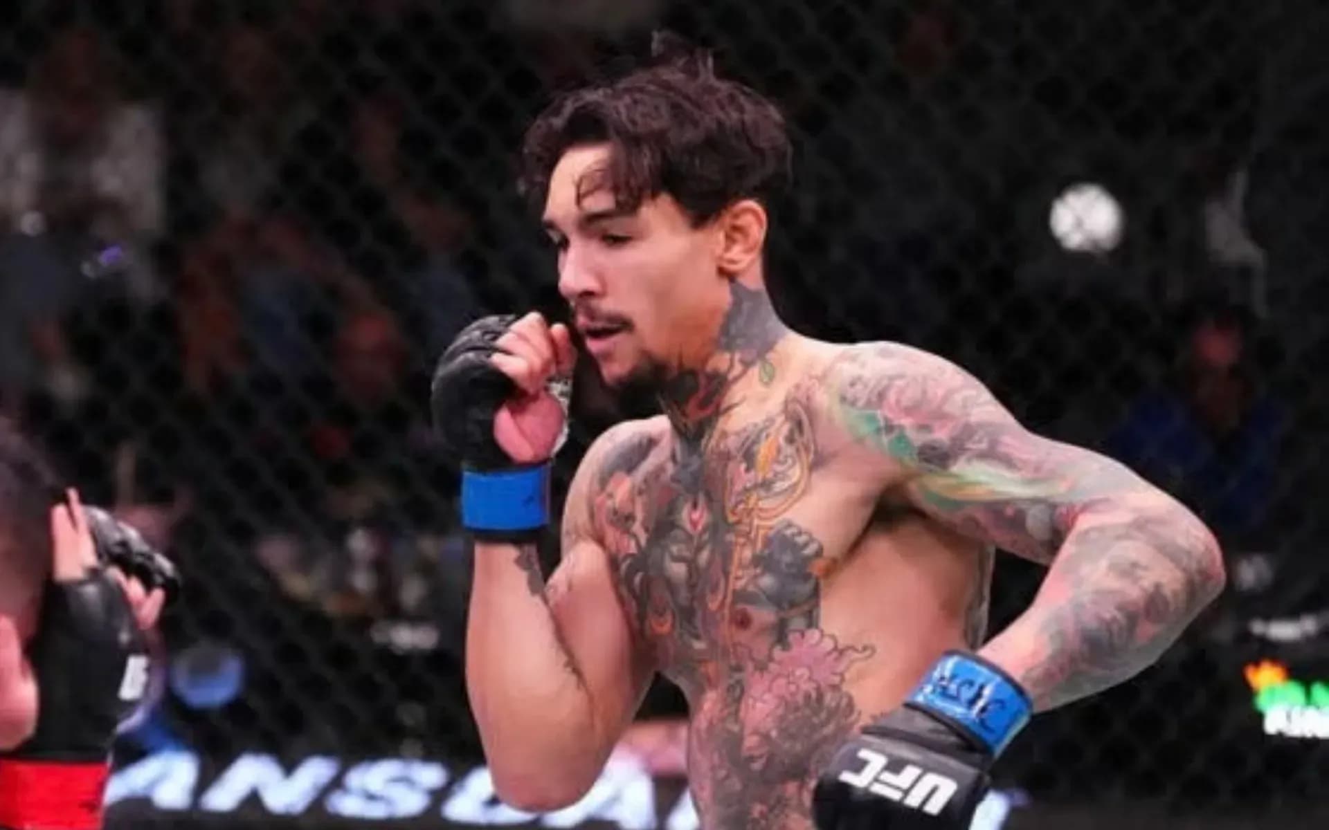 Andre Fili has long competed in the UFC featherweight division. 