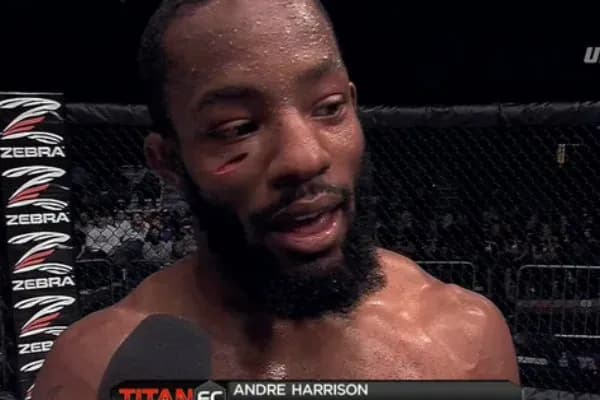 MMA article image