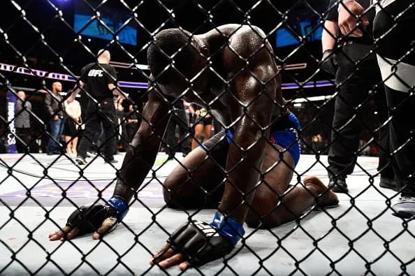 MMA article image