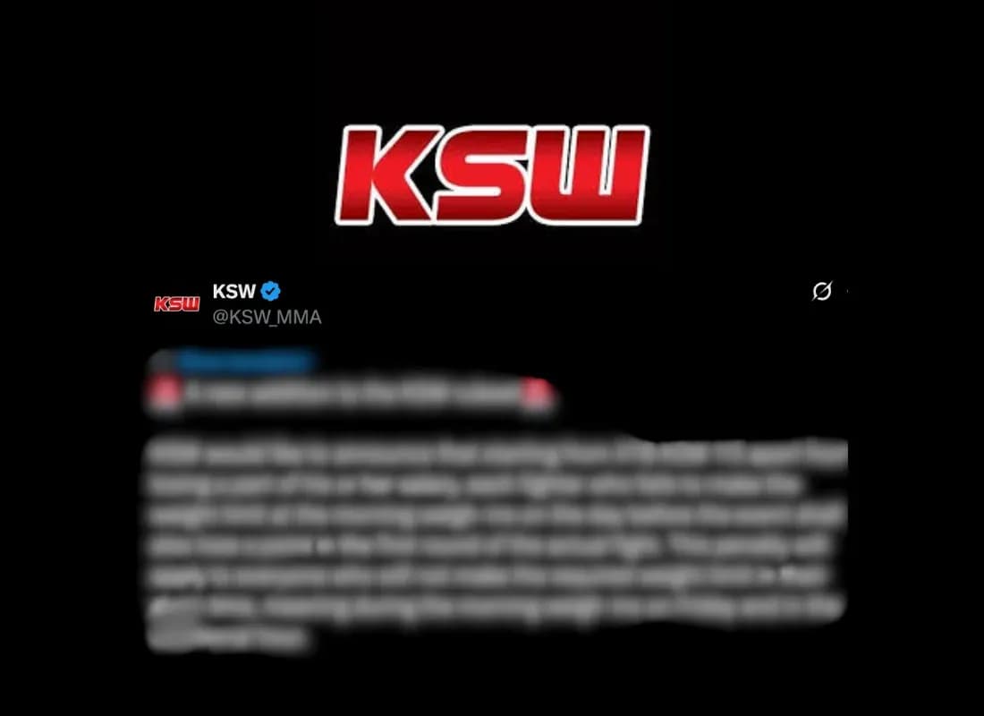 MMA article image
