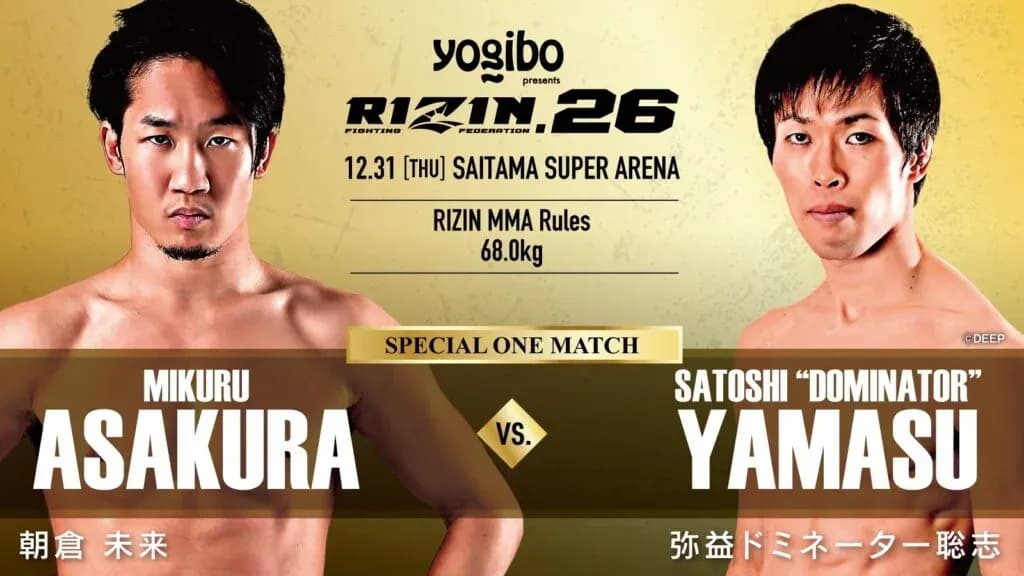 MMA article image
