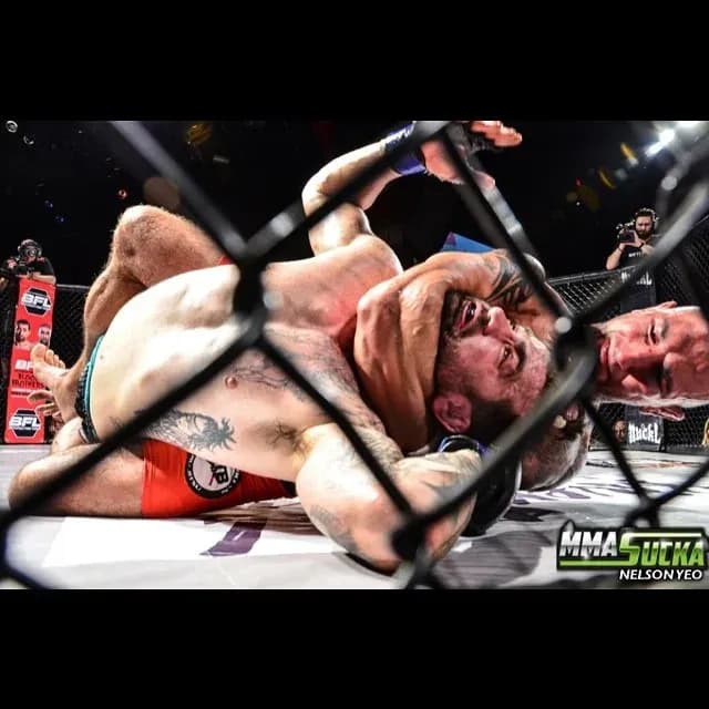 MMA article image
