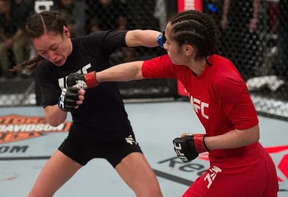 MMA article image