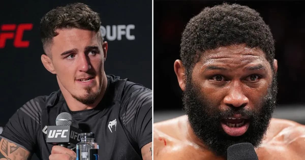 MMA article image