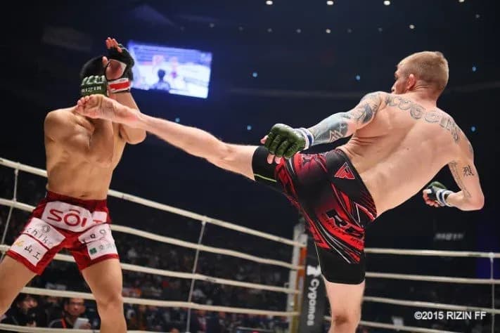 MMA article image